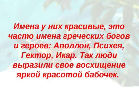 Презентация на тему "Бабочки 7 класс" по биологии