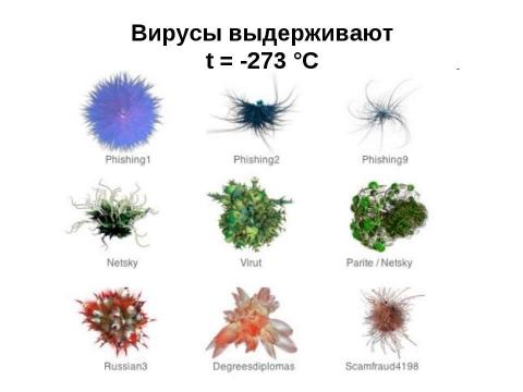 Презентация на тему "Общие законы действия факторов среды на организм" по биологии