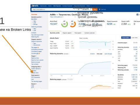 Презентация на тему "SEO Borman" по информатике