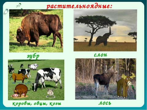 Презентация на тему "Как животные питаются 3 класс" по окружающему миру