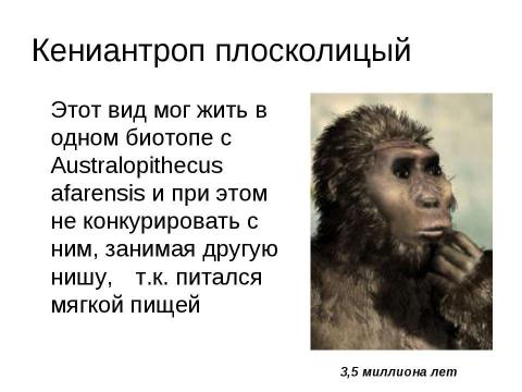 Презентация на тему "Антропогенез" по биологии