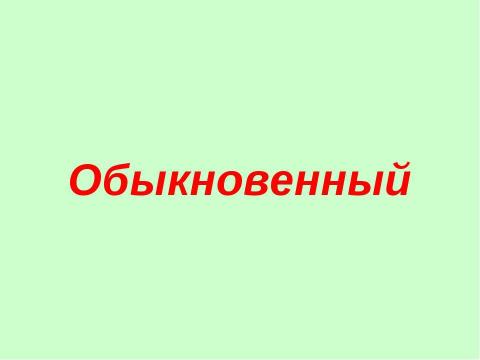 Презентация на тему "Одна и две буквы н в суффиксах прилагательных" по русскому языку