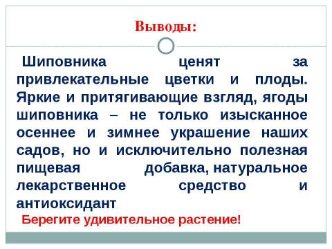 Презентация на тему "Вести из леса о шиповнике" по биологии