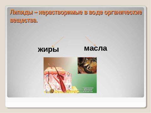 Презентация на тему "Химическая организация клетки. Неорганические вещества" по химии