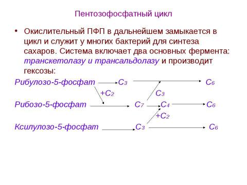 Презентация на тему "Брожения. Типы жизни, основанные на субстратном фосфорилировании" по биологии