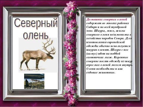 Презентация на тему "Как появились разные народы" по истории