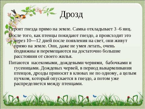 Презентация на тему "Летят перелётные птицы" по начальной школе