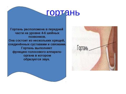 Презентация на тему "вода" по физике