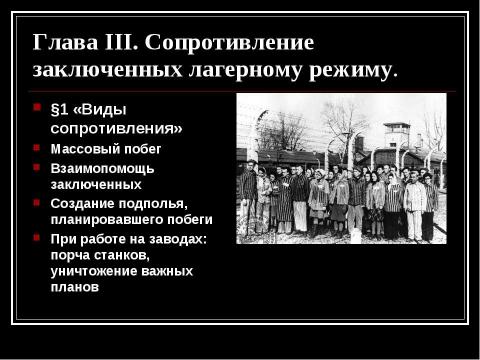 Презентация на тему "Концентрационные лагеря Третьего Рейха" по истории