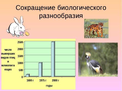 Презентация на тему "Человек как житель биосферы" по экологии