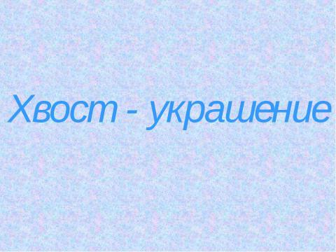 Презентация на тему "Зачем животным нужны хвосты? 5 класс" по окружающему миру