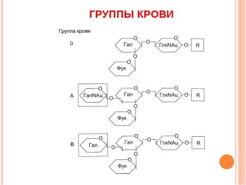 Презентация на тему "Основы молекулярной генетики" по биологии