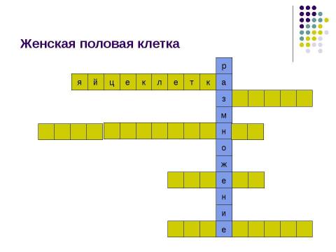 Презентация на тему "Внутриутробное развитие человека" по биологии