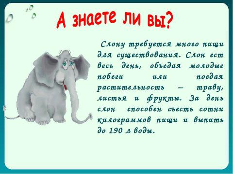 Презентация на тему "Как животные питаются 3 класс" по окружающему миру