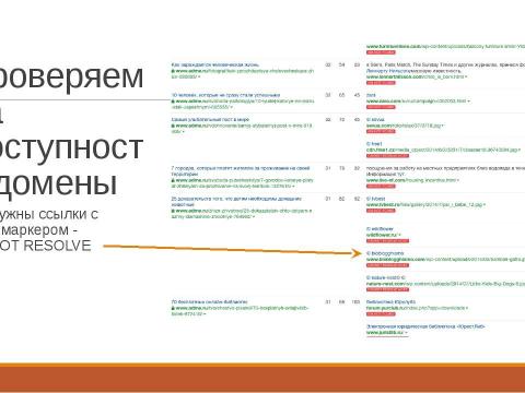 Презентация на тему "SEO Borman" по информатике