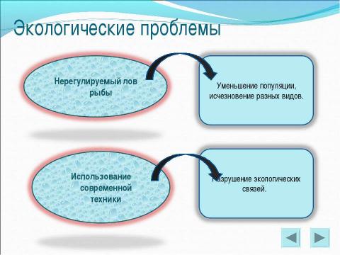 Презентация на тему "Арктика" по географии