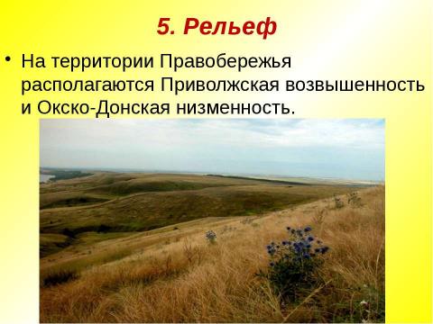 Презентация на тему "Природно-географическая характеристика Саратовской области. Характеристика природных сообществ" по географии