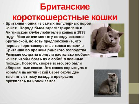 Презентация на тему "Кошки в истории, обществе, в английской и русском языках и литературе разных стран" по литературе