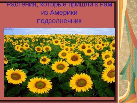 Презентация на тему "Открытие Нового Света. Америка" по начальной школе