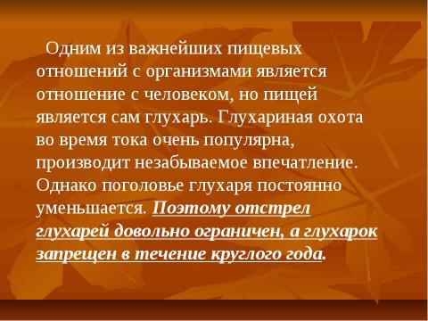 Презентация на тему "Глухарь" по экологии