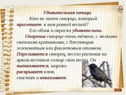 Презентация на тему "Город, где живут морфемы" по русскому языку
