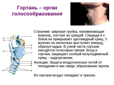 Презентация на тему "вода" по физике