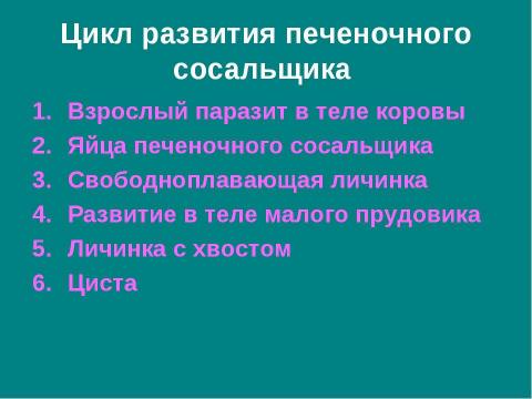 Презентация на тему "Тип плоские черви" по биологии