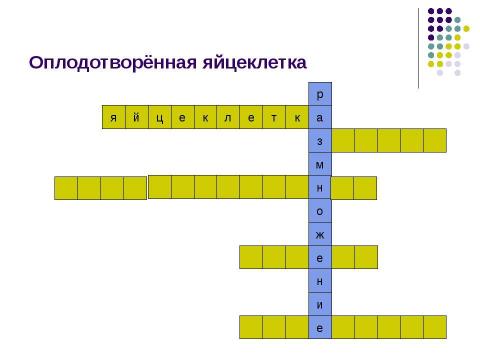 Презентация на тему "Внутриутробное развитие человека" по биологии