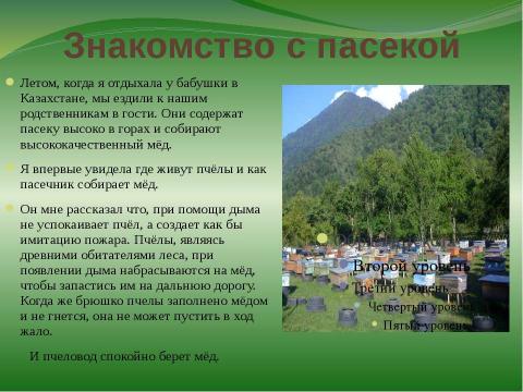 Презентация на тему "правильные пчёлы делают правильный мёд" по окружающему миру