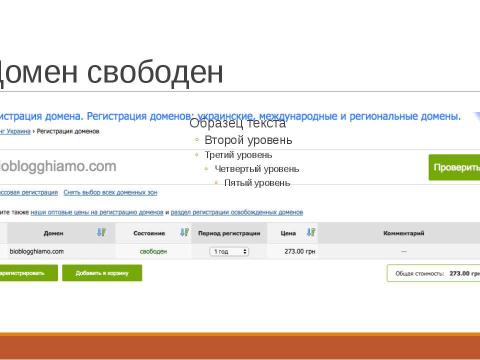 Презентация на тему "SEO Borman" по информатике