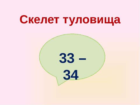 Презентация на тему "Скелет челоаека" по биологии