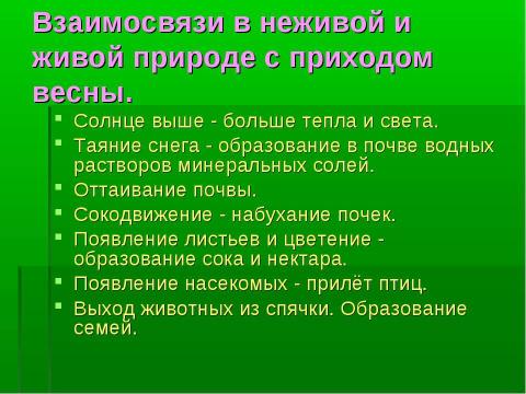 Презентация на тему "Лесная зона. Сезонные изменения" по окружающему миру