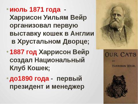 Презентация на тему "Кошки в истории, обществе, в английской и русском языках и литературе разных стран" по литературе