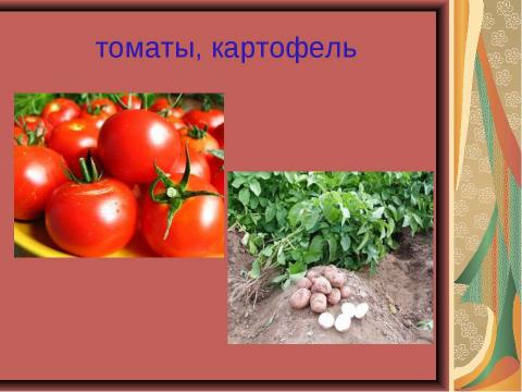 Презентация на тему "Открытие Нового Света. Америка" по начальной школе