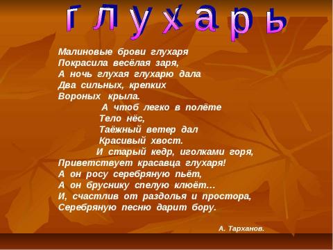 Презентация на тему "Глухарь" по экологии