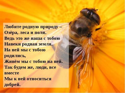 Презентация на тему "Судьба природы-наша судьба" по начальной школе