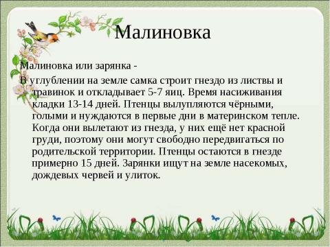 Презентация на тему "Летят перелётные птицы" по начальной школе