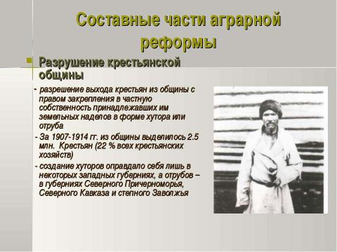 Презентация на тему "Петр Аркадьевич Столыпин и его реформы 11 класс" по истории