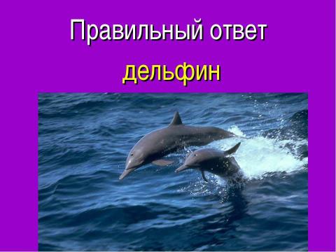 Презентация на тему "Александр Беляев «Человек- амфибия»" по литературе