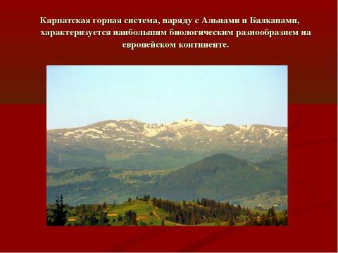 Презентация на тему "Заповедные места Украины. Карпатский биосферный заповедник" по географии