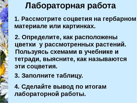 Презентация на тему "Соцветия" по биологии