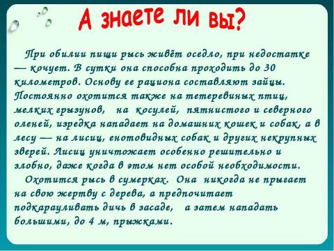 Презентация на тему "Как животные питаются 3 класс" по окружающему миру