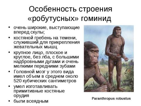 Презентация на тему "Антропогенез" по биологии