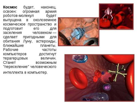 Презентация на тему "Информация и эволюция живого мира" по биологии