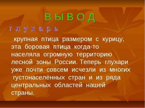 Презентация на тему "Глухарь" по экологии