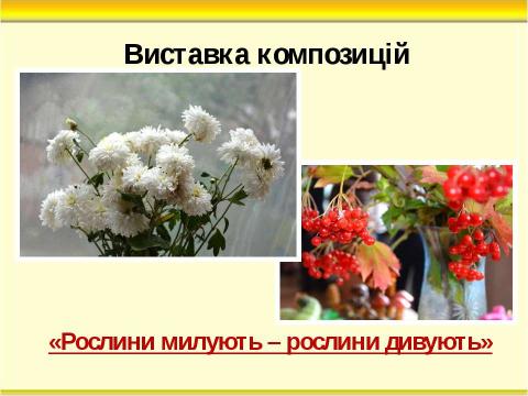 Презентация на тему "Тиждень початкових класів" по педагогике