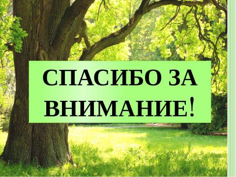 Презентация на тему "дуб - символ мудрости" по педагогике