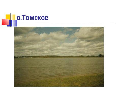 Презентация на тему "ГАММАРУС - ЭНДЕМИК О.ТОМСКОЕ БАЕВСКОГО РАЙОНА" по биологии