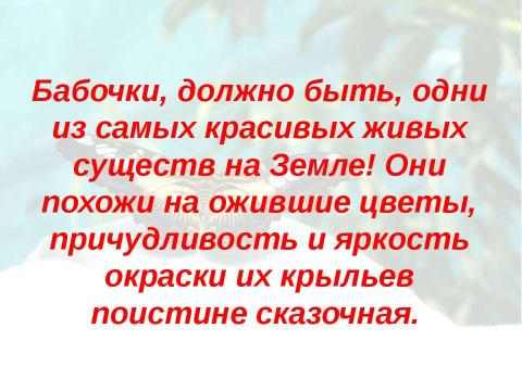 Презентация на тему "Бабочки 7 класс" по биологии