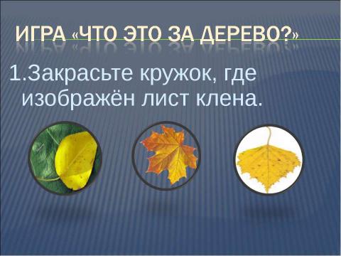 Презентация на тему "Что общего у разных растений?" по окружающему миру